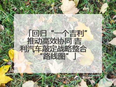 回归“一个吉利” 推动高效协同 吉利汽车敲定战略整合“路线图”
