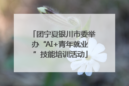 团宁夏银川市委举办“AI+青年就业”技能培训活动