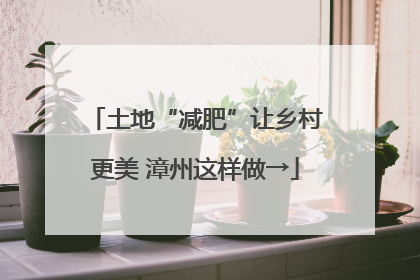 土地“减肥”让乡村更美 漳州这样做→
