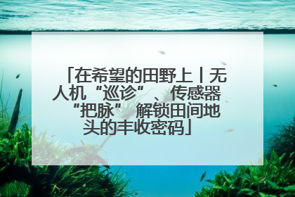 在希望的田野上丨无人机“巡诊”、传感器“把脉” 解锁田间地头的丰收密码