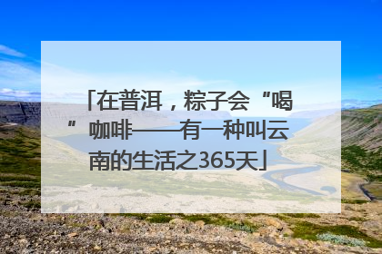 在普洱，粽子会“喝”咖啡——有一种叫云南的生活之365天