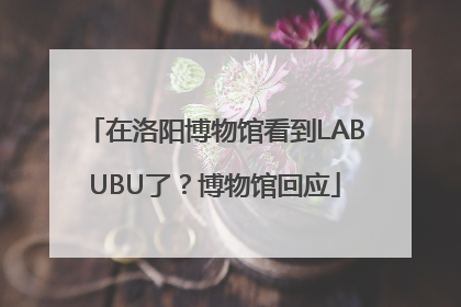 在洛阳博物馆看到LABUBU了？博物馆回应