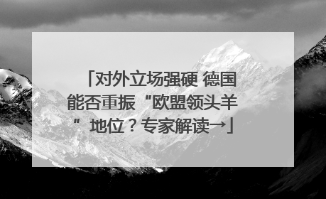 对外立场强硬 德国能否重振“欧盟领头羊”地位？专家解读→