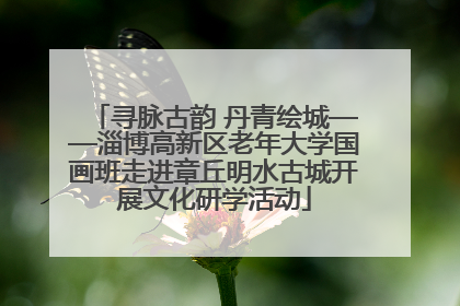 寻脉古韵 丹青绘城——淄博高新区老年大学国画班走进章丘明水古城开展文化研学活动