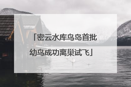 密云水库鸟岛首批幼鸟成功离巢试飞