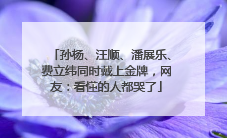 孙杨、汪顺、潘展乐、费立纬同时戴上金牌，网友：看懂的人都哭了