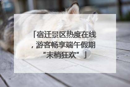 宿迁景区热度在线，游客畅享端午假期“末梢狂欢”