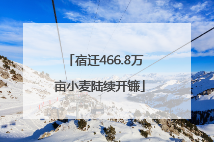 宿迁466.8万亩小麦陆续开镰