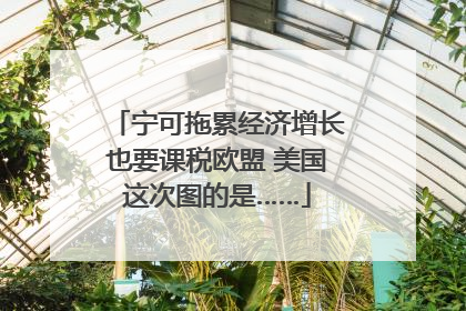 宁可拖累经济增长也要课税欧盟 美国这次图的是……