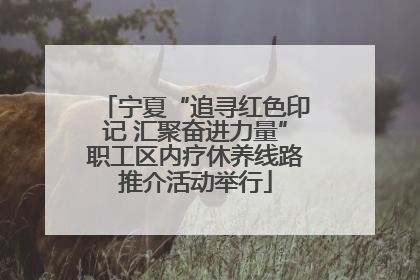 宁夏“追寻红色印记 汇聚奋进力量”职工区内疗休养线路推介活动举行