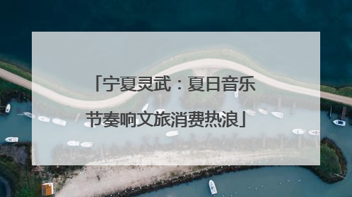 宁夏灵武：夏日音乐节奏响文旅消费热浪