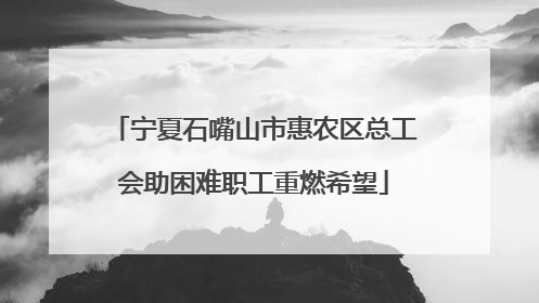 宁夏石嘴山市惠农区总工会助困难职工重燃希望