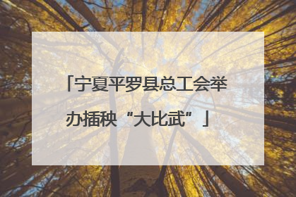 宁夏平罗县总工会举办插秧“大比武”