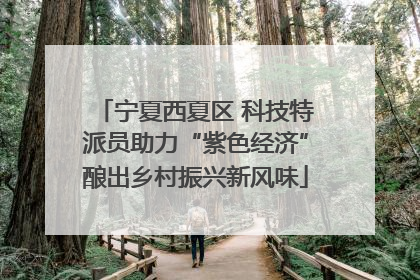 宁夏西夏区 科技特派员助力“紫色经济”酿出乡村振兴新风味