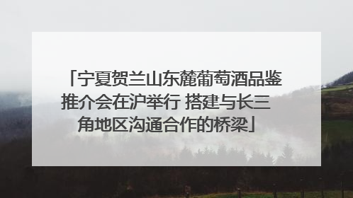 宁夏贺兰山东麓葡萄酒品鉴推介会在沪举行 搭建与长三角地区沟通合作的桥梁