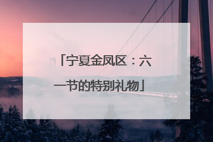 宁夏金凤区：六一节的特别礼物