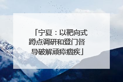 宁夏：以靶向式蹲点调研和登门督导破解顽瘴痼疾