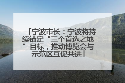 宁波市长：宁波将持续锚定“三个首选之地”目标，推动博览会与示范区互促共进