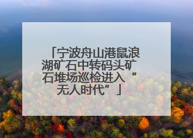 宁波舟山港鼠浪湖矿石中转码头矿石堆场巡检进入“无人时代”