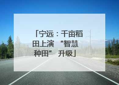 宁远：千亩稻田上演 “智慧种田” 升级