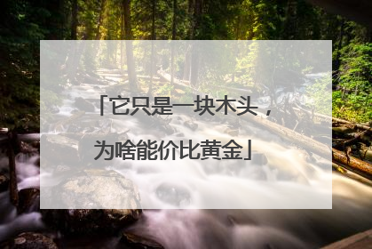 它只是一块木头，为啥能价比黄金