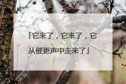 它来了，它来了，它从催更声中走来了