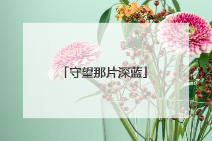 守望那片深蓝