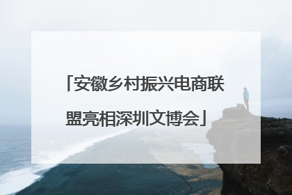 安徽乡村振兴电商联盟亮相深圳文博会