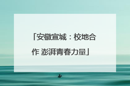 安徽宣城：校地合作 澎湃青春力量