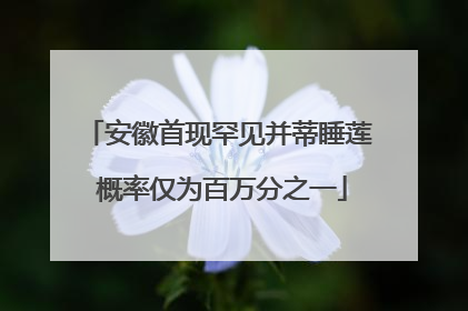 安徽首现罕见并蒂睡莲 概率仅为百万分之一