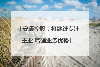 安通控股：将继续专注主业 增强业务优势
