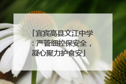 宜宾高县文江中学：严管细控保安全，凝心聚力护食安