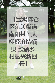 宝鸡陈仓区东关街道南阳村：大棚经济结硕果 绘就乡村振兴新图景