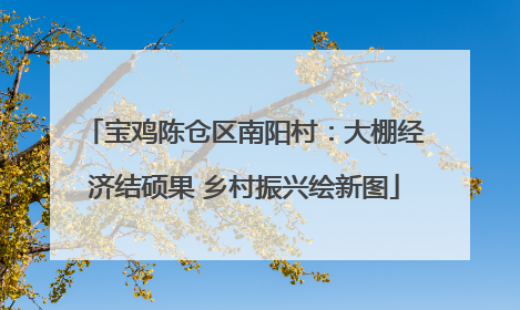宝鸡陈仓区南阳村：大棚经济结硕果 乡村振兴绘新图