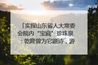 实探山东省人大常委会院内“宝藏”珍珠泉：乾隆曾为它题诗，游客无需预约免费游览