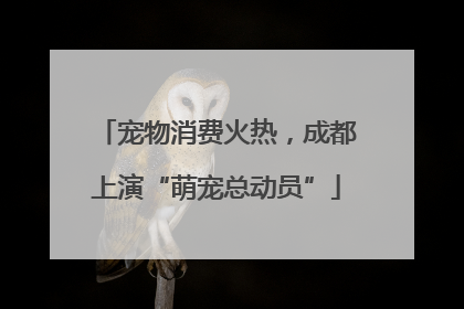 宠物消费火热，成都上演“萌宠总动员”
