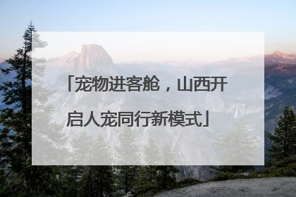 宠物进客舱，山西开启人宠同行新模式