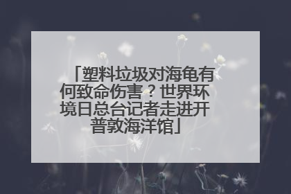 塑料垃圾对海龟有何致命伤害？世界环境日总台记者走进开普敦海洋馆