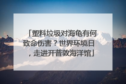 塑料垃圾对海龟有何致命伤害？世界环境日，走进开普敦海洋馆