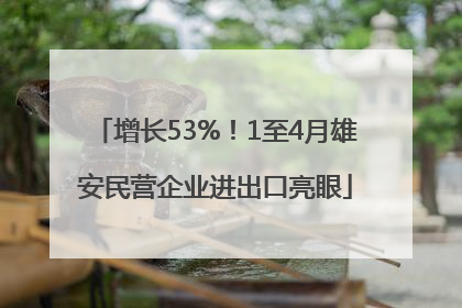 增长53%！1至4月雄安民营企业进出口亮眼