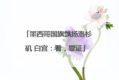 墨西哥国旗飘扬洛杉矶 白宫：看，罪证