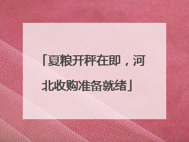 夏粮开秤在即，河北收购准备就绪