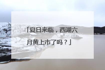 夏日来临，西湖六月黄上市了吗？