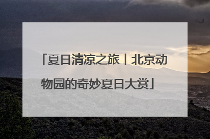 夏日清凉之旅丨北京动物园的奇妙夏日大赏