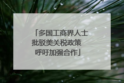 多国工商界人士批驳美关税政策 呼吁加强合作