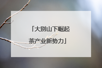 大别山下崛起茶产业新势力