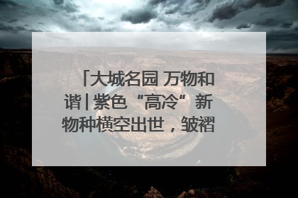 大城名园 万物和谐│紫色“高冷”新物种横空出世，皱褶叶片暗藏进化密码