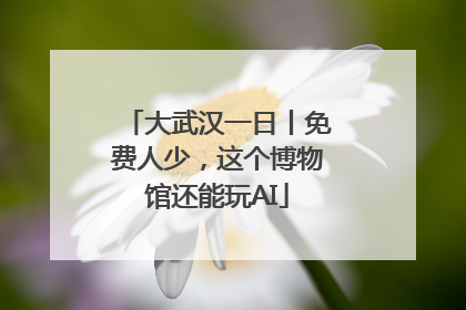大武汉一日丨免费人少，这个博物馆还能玩AI