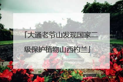 大通老爷山发现国家二级保护植物山西杓兰