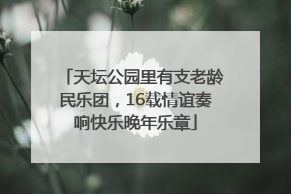 天坛公园里有支老龄民乐团，16载情谊奏响快乐晚年乐章